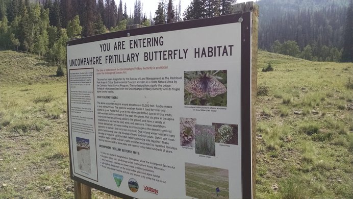 A sign at the Silver Creek Trailhead describing the habitat of the endangered Uncompahgre fritillary butterfly