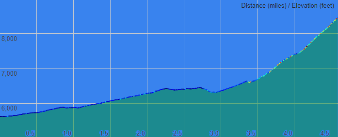 Bear Peak Profile (1m)