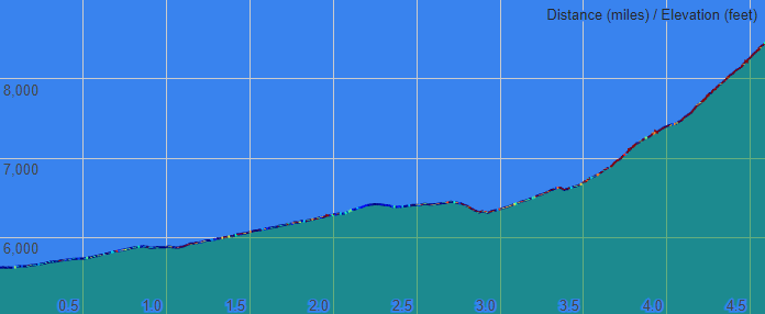Bear Peak Elevation Profile (1/3 arcsec)